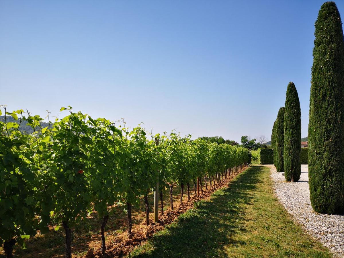 Villa Pizzulin - Wine&Living Prepotto  Esterno foto