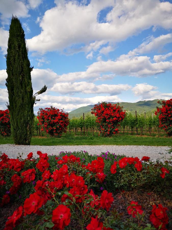 Villa Pizzulin - Wine&Living Prepotto  Esterno foto