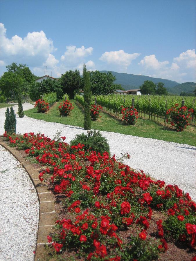 Villa Pizzulin - Wine&Living Prepotto  Esterno foto