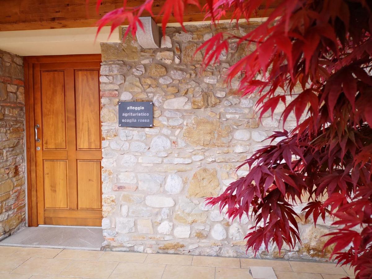 Villa Pizzulin - Wine&Living Prepotto  Esterno foto
