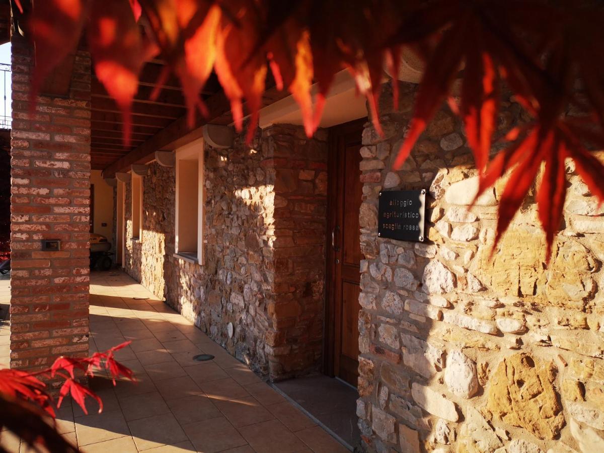 Villa Pizzulin - Wine&Living Prepotto  Esterno foto
