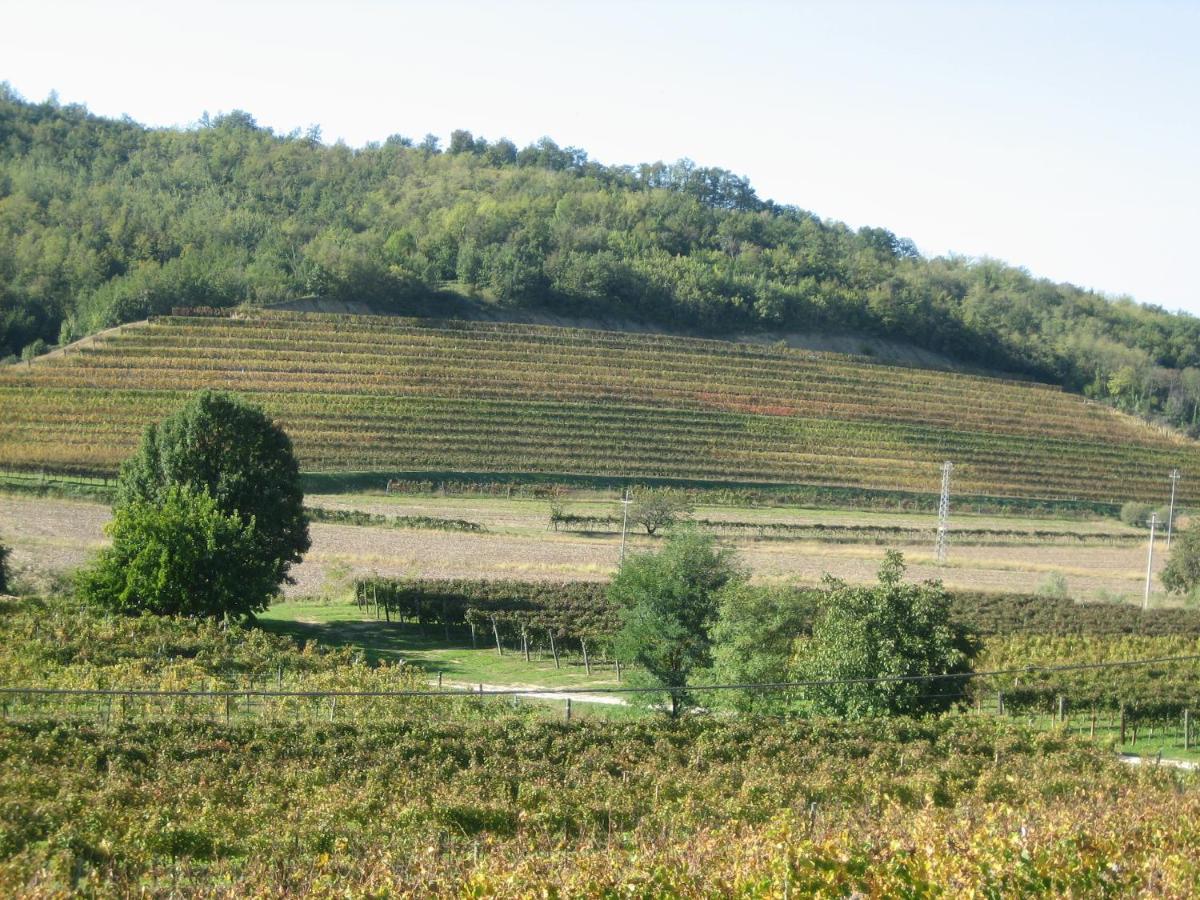 Villa Pizzulin - Wine&Living Prepotto  Esterno foto